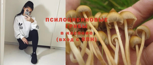 а пвп мука Балахна